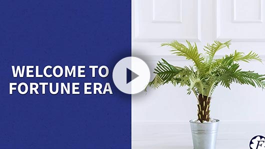 Fortune Era Design Decoration – FB Video